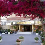 Caballo De Oro 3*