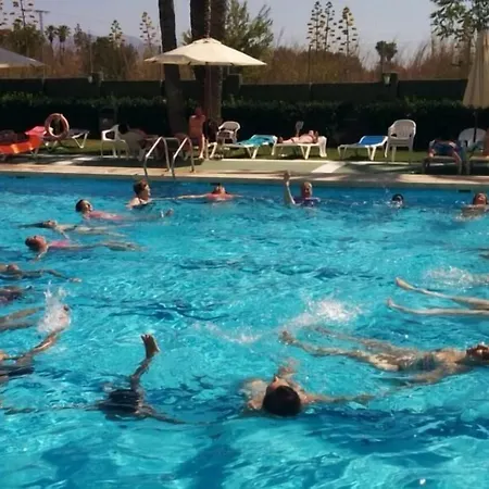 Caballo De Oro Benidorm